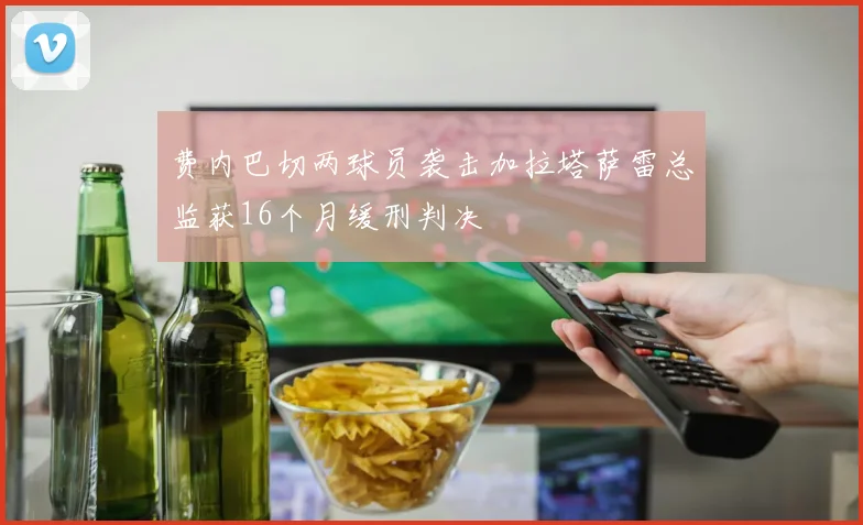费内巴切两球员袭击加拉塔萨雷总监获16个月缓刑判决