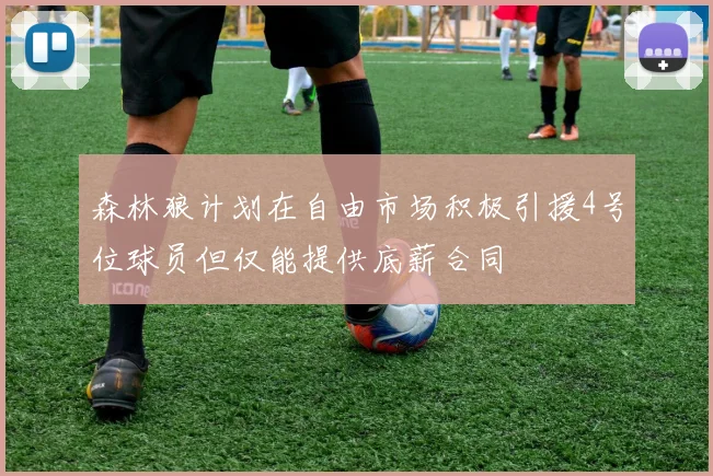 森林狼计划在自由市场积极引援4号位球员但仅能提供底薪合同