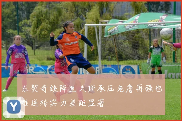 东契奇缺阵里夫斯承压老詹再强也难逆转实力差距显著