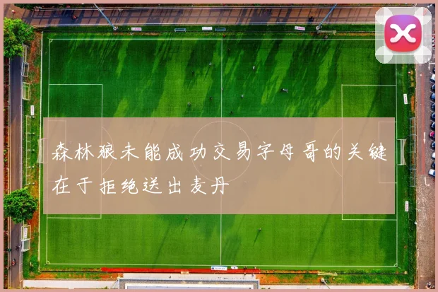 森林狼未能成功交易字母哥的关键在于拒绝送出麦丹